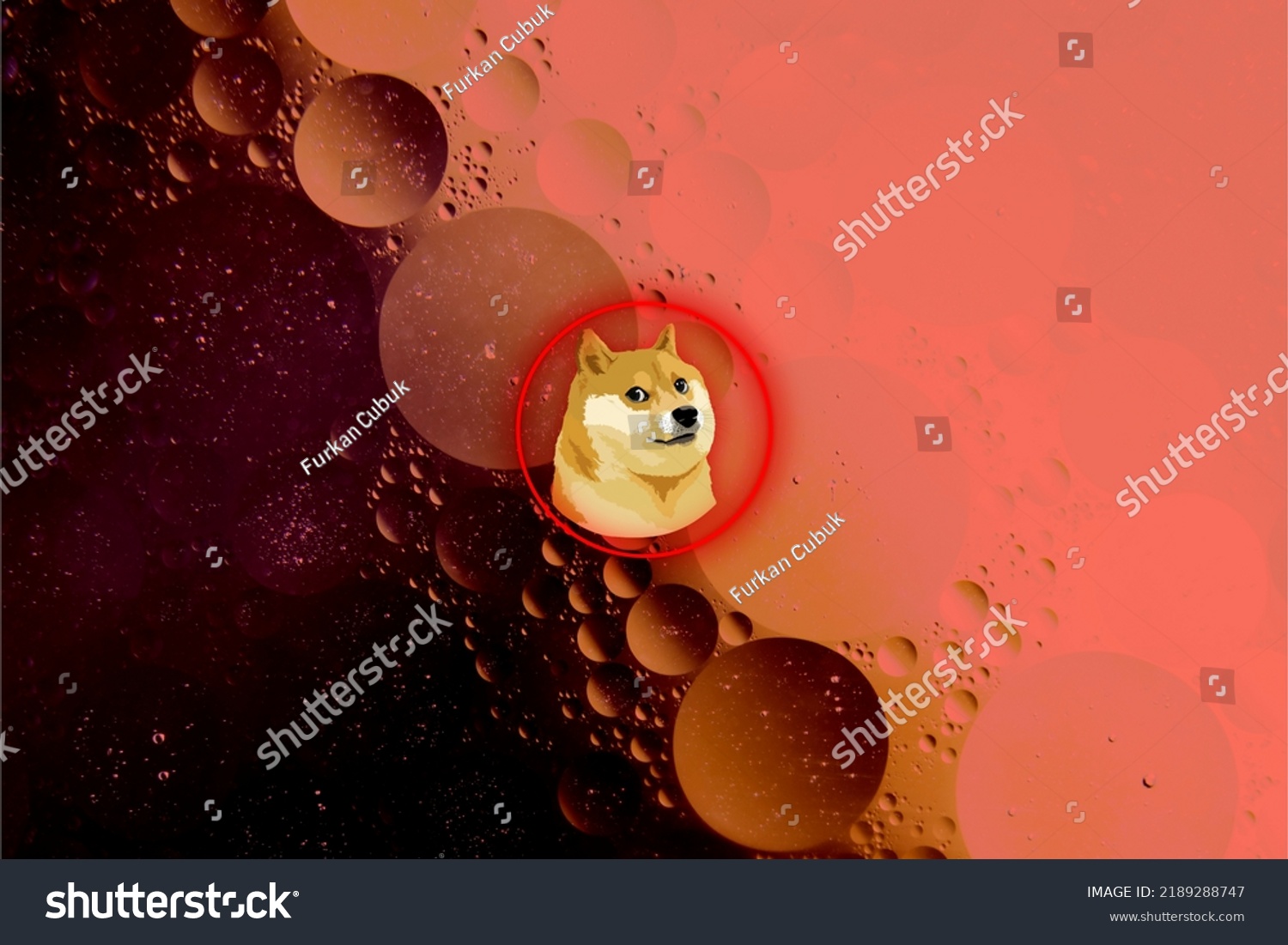 Gấ