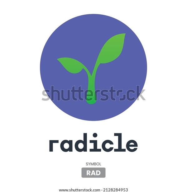 Bả