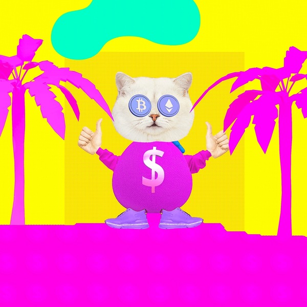 Đo