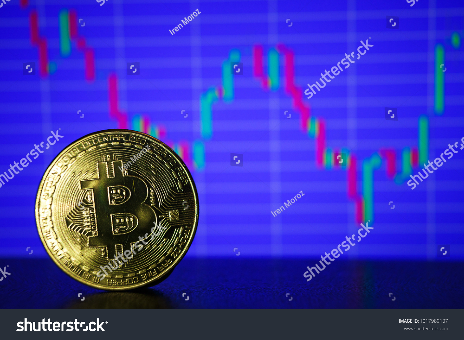bò v