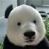 Ch