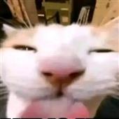 Ti