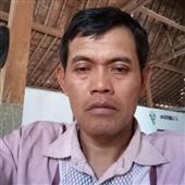 SI