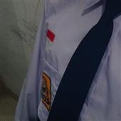 Vị