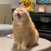 Th