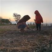 Kế