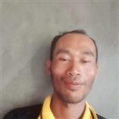 Tr