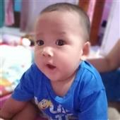 Luật