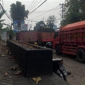 Lị