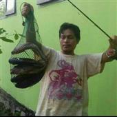 Dự đ