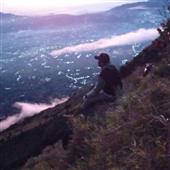 Tr