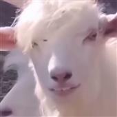 Tìm 