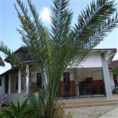 Đầ