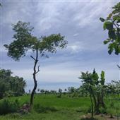 Hộ