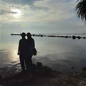 Dự