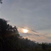 Tỷ