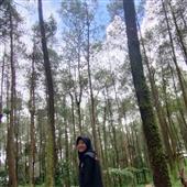 Lì X