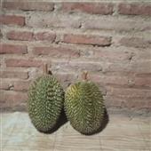 Th