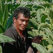 THẦN