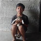 Giới
