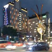 Trực