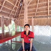 Bảng