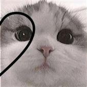 t-