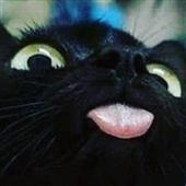 Roul