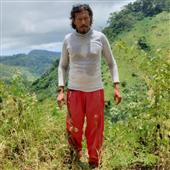 Đánh