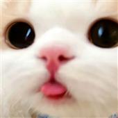 Cờ