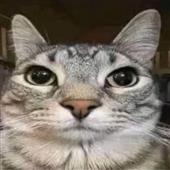 Tỷ