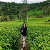 Sự