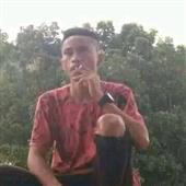 Gấ
