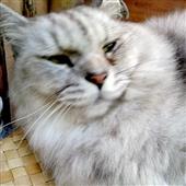 Ru