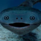 Kè