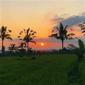 Tỷ