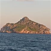 BỮ