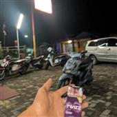 Gấu 