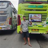 Trực