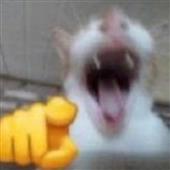 Be