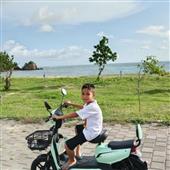 Chỉ 