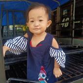 Gậ