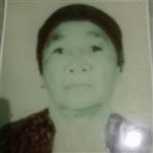 Bó
