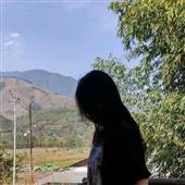 Poin