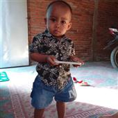 Cung