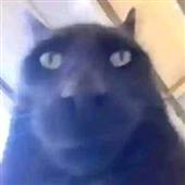 LÔ