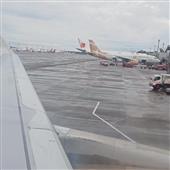 Đồ