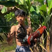 Tiền
