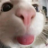 Th