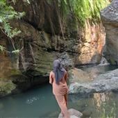 Trực